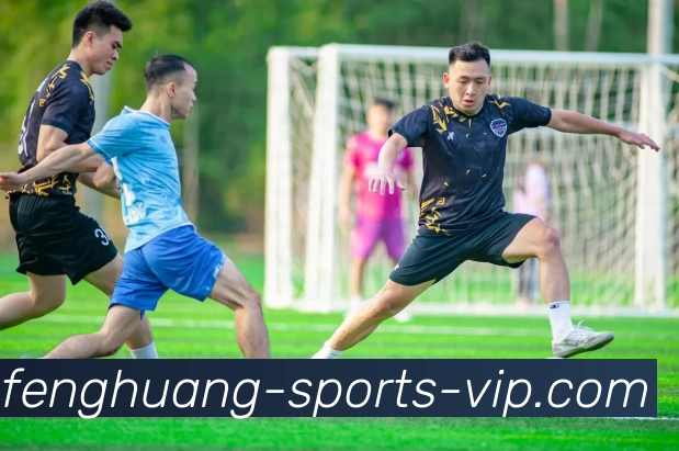 凤凰体育VIPAPP 高清赛事图